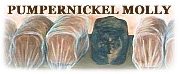 <font size="6" face="Times New Roman, Times, serif" color="#000066">PUMPERNICKEL 